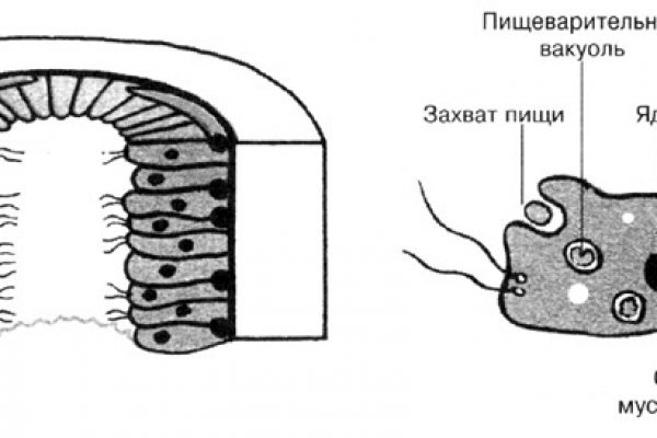 Рабочий сайт kraken