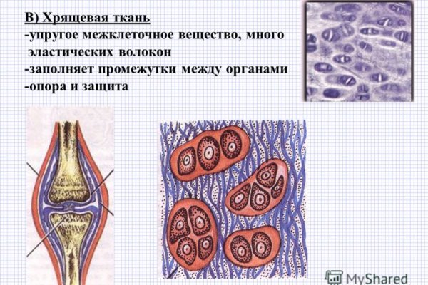 Кракен зеркало krakenat2krnkrnk com